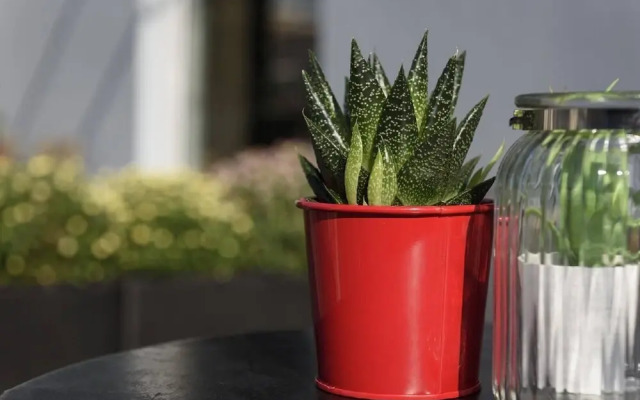 Sandra Stay at Erato and Cleo Houses