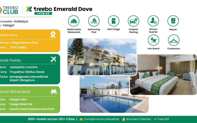 Treebo Premium Emerald Dove