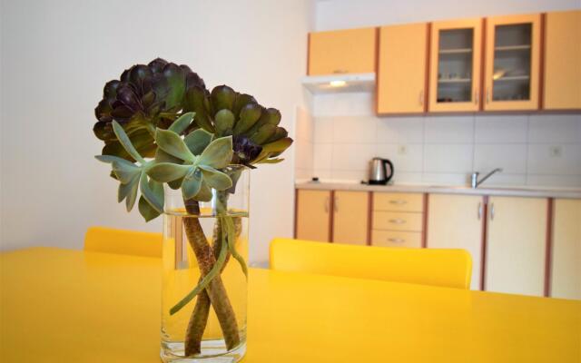 Apartments Frane G in Lopar - island Rab