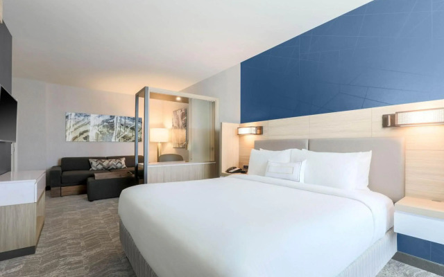 SpringHill Suites by Marriott San Jose Fremont