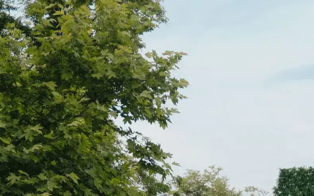 Grd Villa Bungalov