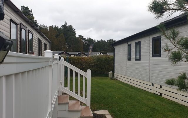 2-bed Caravan - Oakdene Forest Park