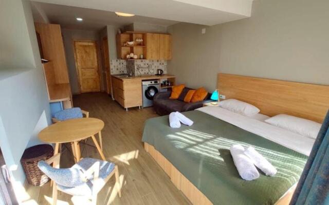 Bakuriani - Didveli 4 Season Apartment