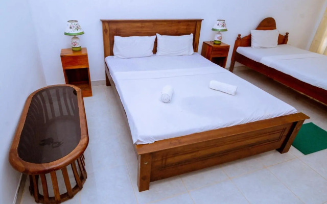 Rainforest River Edge