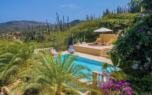 Mountain Villa Infinity Pool Majestic Views