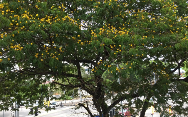 Macallum Budget Muslim Homestay