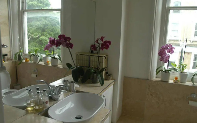 D Collection @Kensington