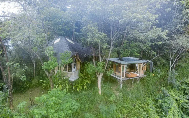Bird Hills Bamboo House