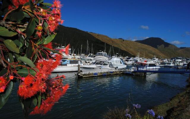 Bluemoon Lodge - Hostel