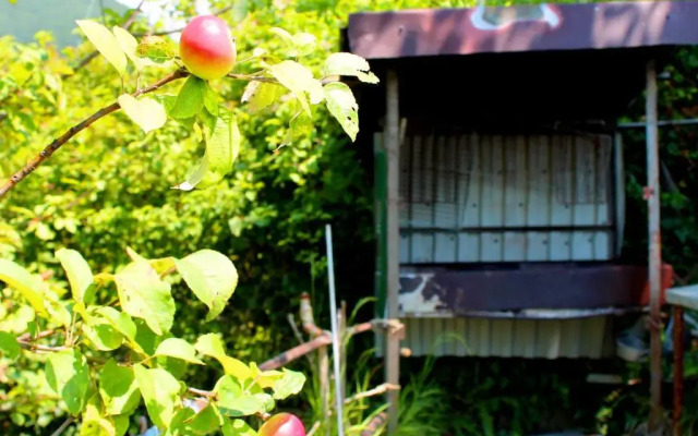 Guesthouse on Lakoba 3