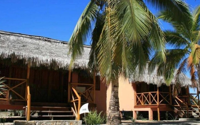 Palissandre Côte Ouest