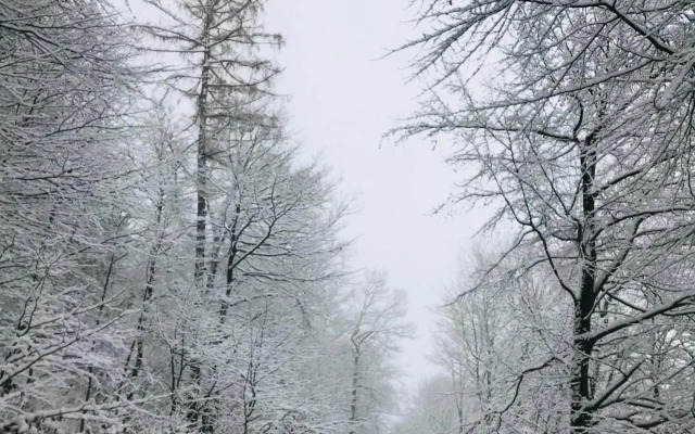 Ferienwohnung Losenberg