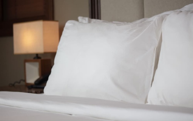 Ebino Pu Luong Resort – Guest Rooms – Ba Thuoc
