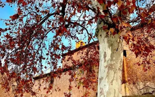 Boutique Hotel & Spa Les Vinyes