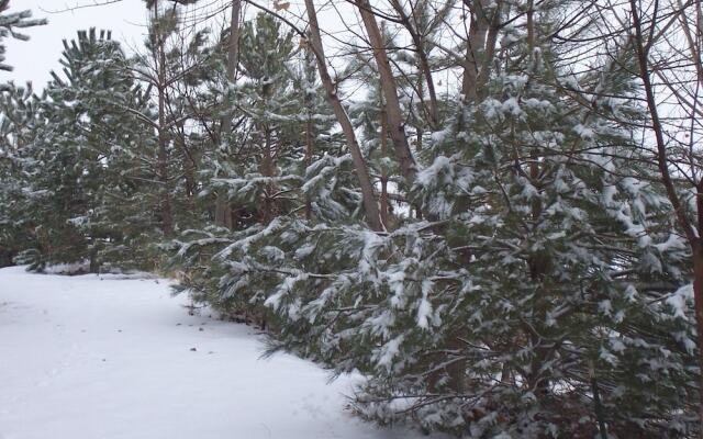 Wild Rose Manor Bed and Breakfast