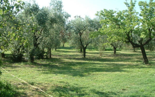 Agriturismo Il Capannaccio