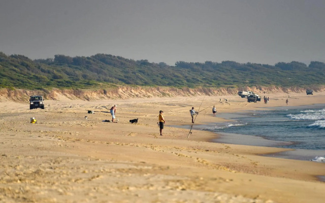 Pet Friendly Beach Home