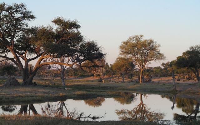 Mogotlho Safari Lodge