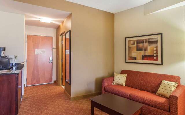 Comfort Suites Suffolk - Chesapeake