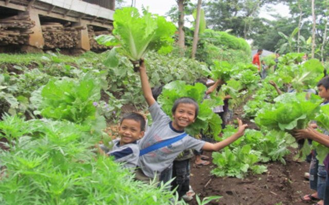 d'Emmerick Salib Putih Hotel Salatiga