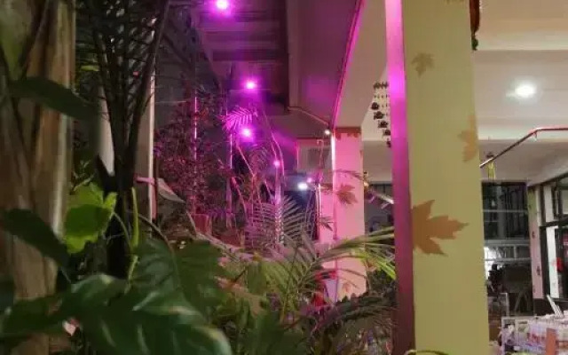 Elite Service Apartment