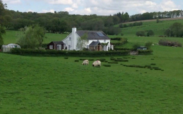 Rhedyn Guest House