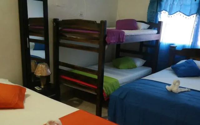 New Iguana House Hostel