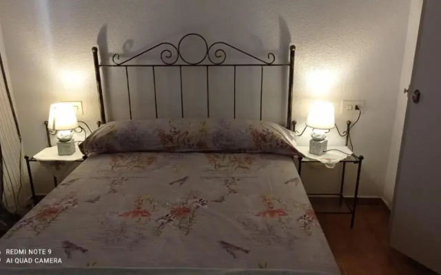 Casa del Buho