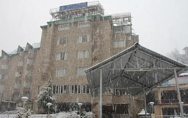 Olive County, Manali