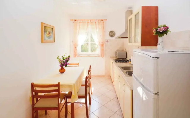 Apartments in Vinkuran/istrien 11042