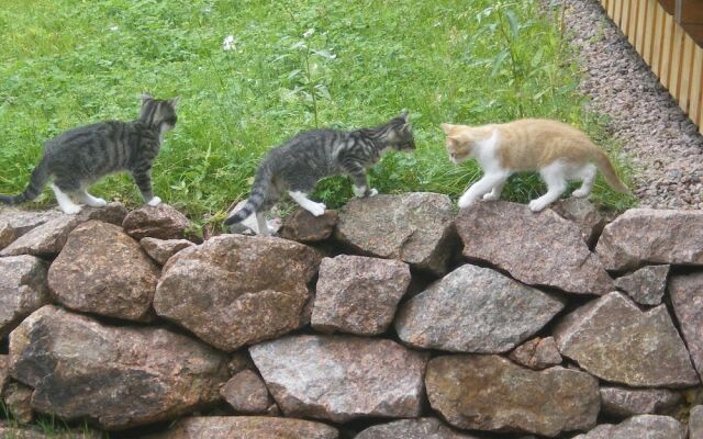 Ferienwohnung 2 Rasehorn