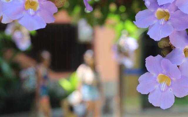 Serrazul Praia Hotel