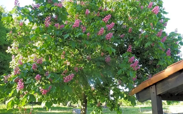 L'instant jardin