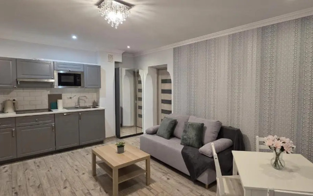 Light Rooms Apartment