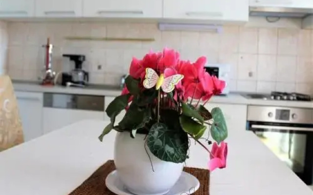 Vesna Apartment