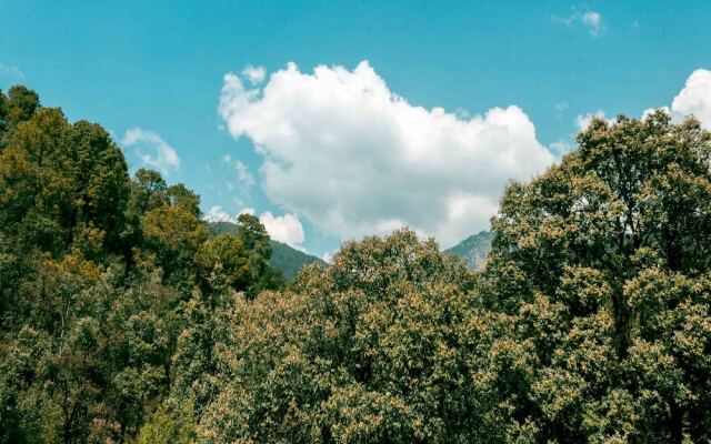OYO 13334 Home Modern Stay Dharamshala