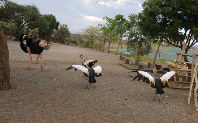 Soi Safari Lodge - Lake Baringo