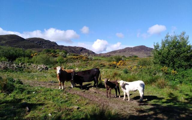 Madra Rua Organic Accommodation