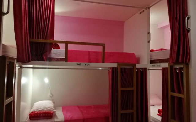Sleepy Raccoon Hostel