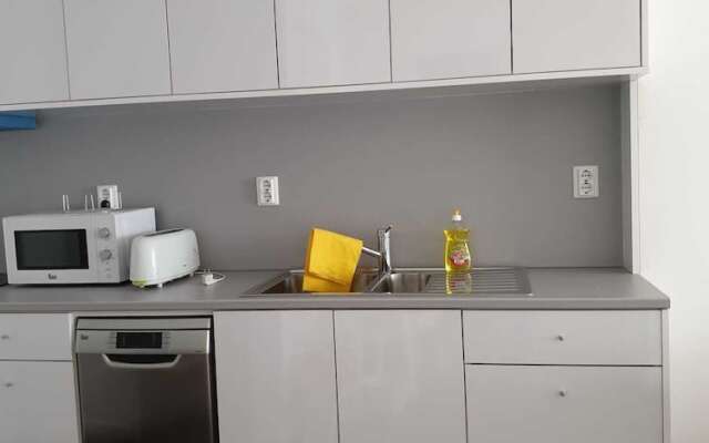 Pet Friendly Apartment