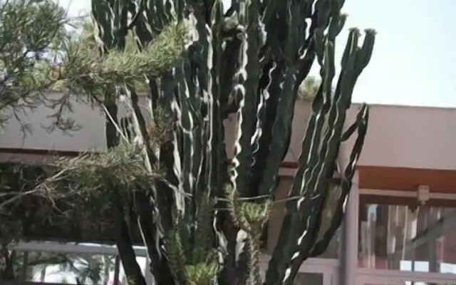 Club Hotel Rama - All Inclusive