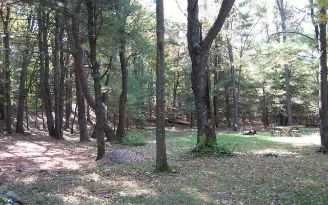 Cooperstown Beaver Valley Cabins & Campsites