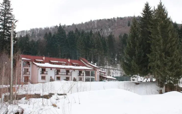 Pension Floarea Reginei