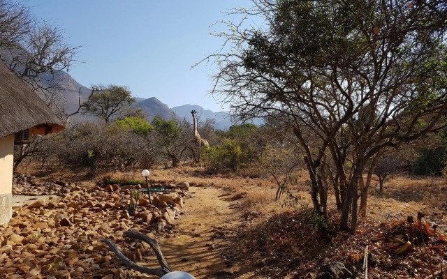 Bona Intaba Game Lodge