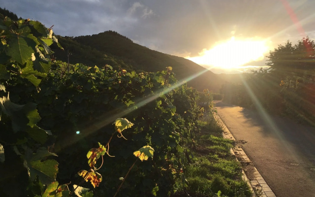 Moseltel Ernst/cochem