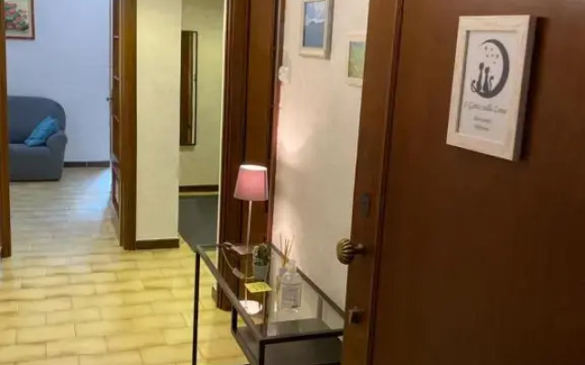 Il Gatto sulla Luna, ai piedi delle Langhe