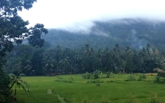 Sinharaja Green View
