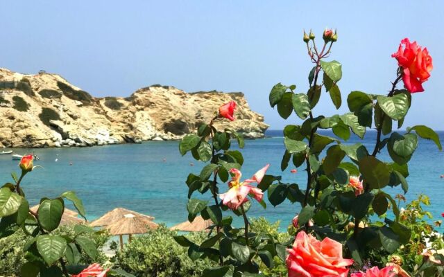 Dreamwave Residence - Unique holidays by the sea