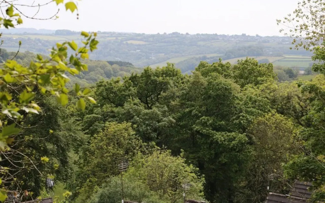 Hillside