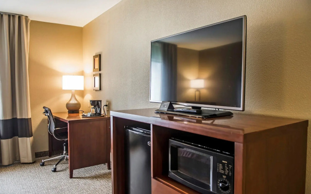 Comfort Inn Edinburg South